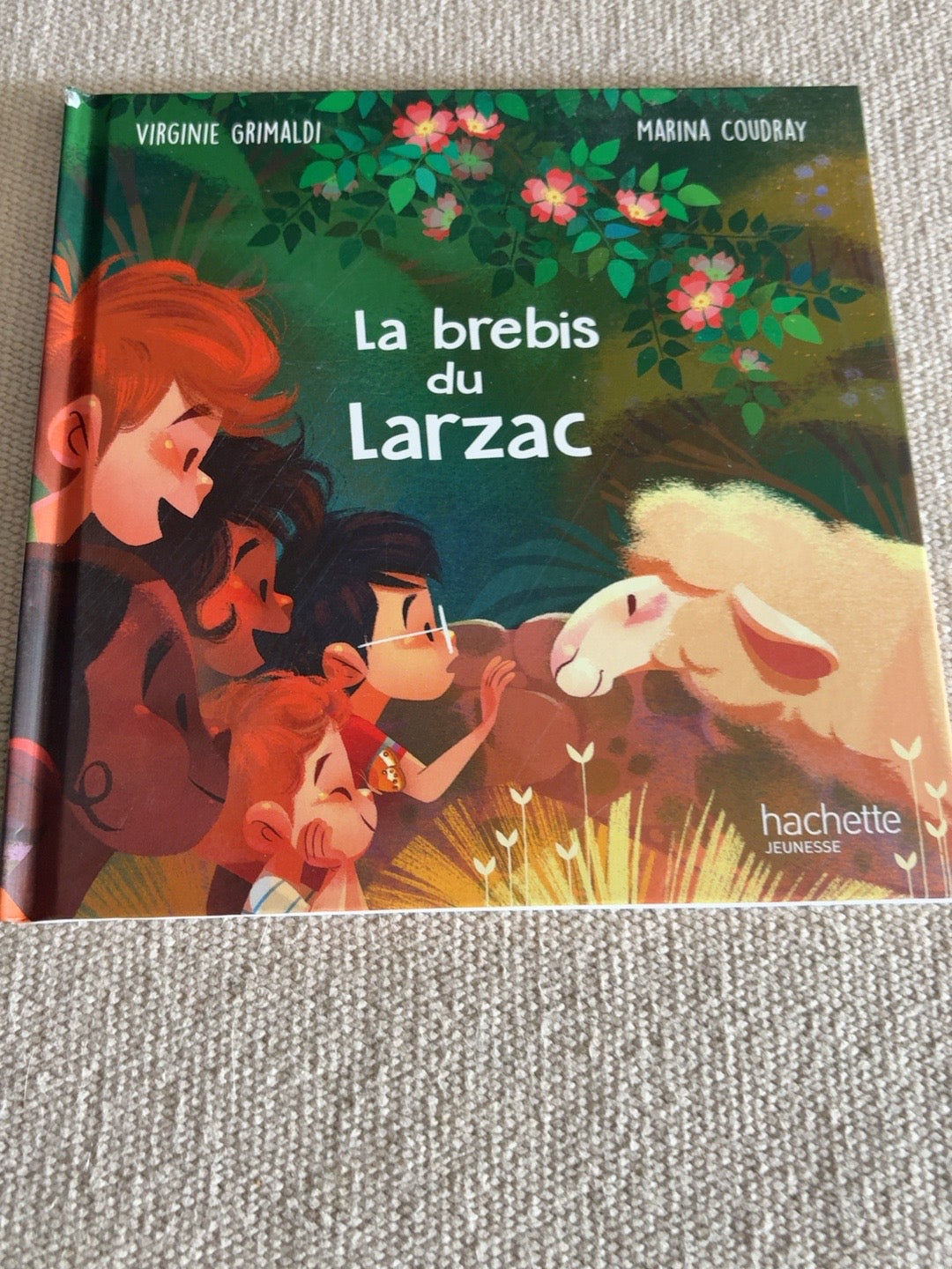 La brebis du Larzac