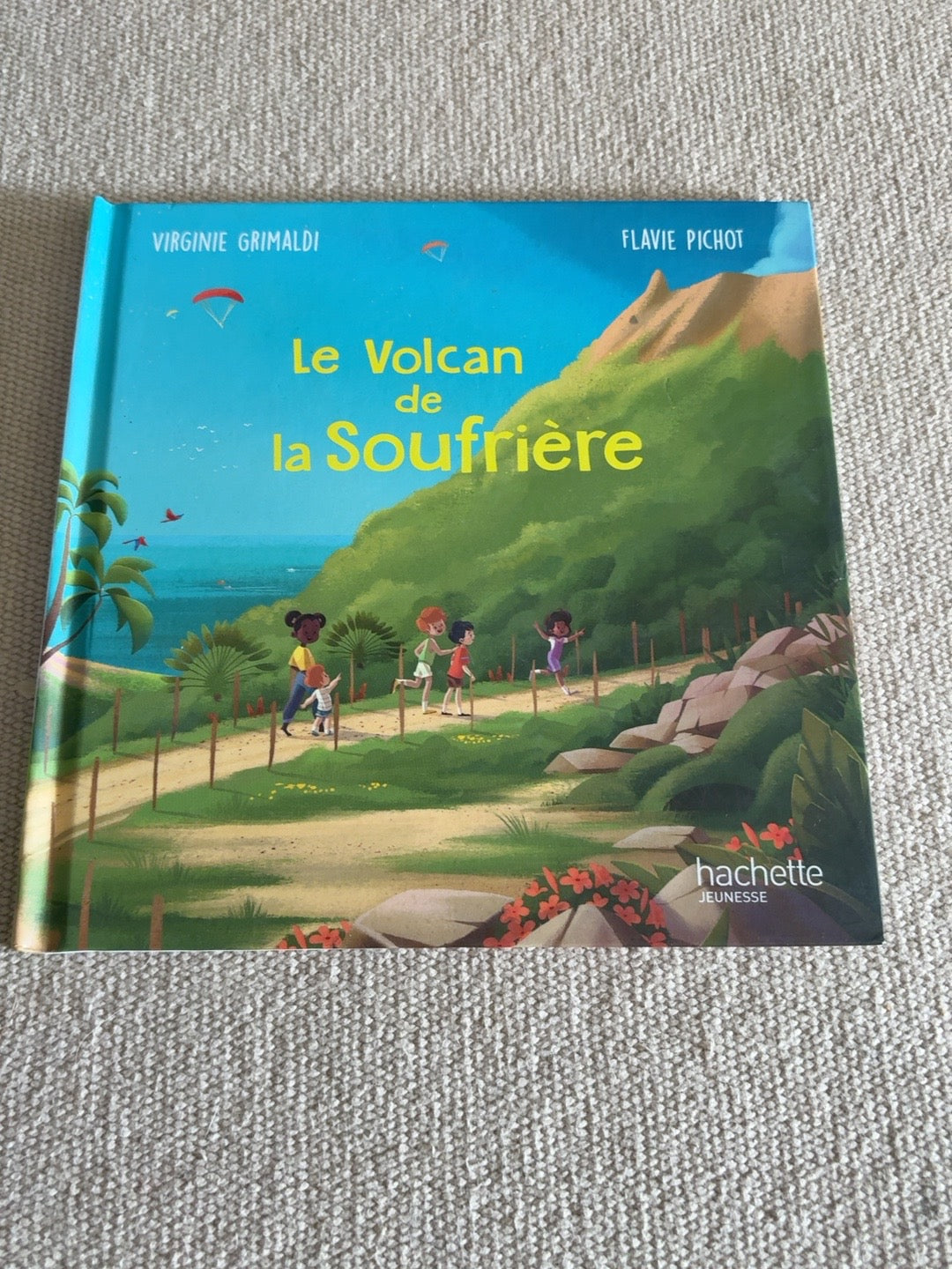 Le Volcan de la Soufrière