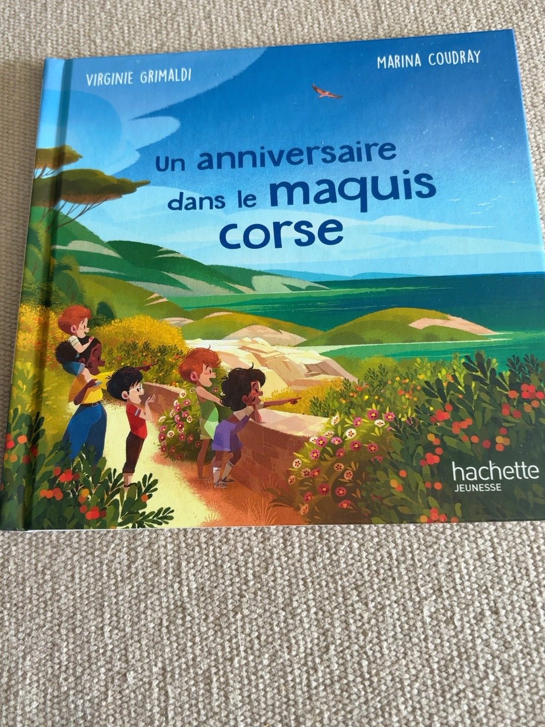 Un anniversaire dans le maquis corse