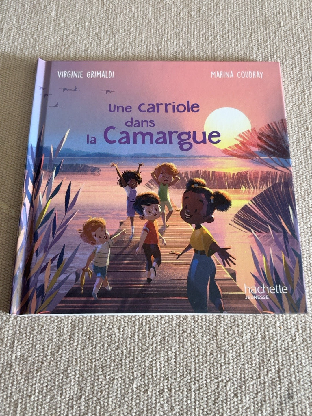 Une carriole dans la Camargue